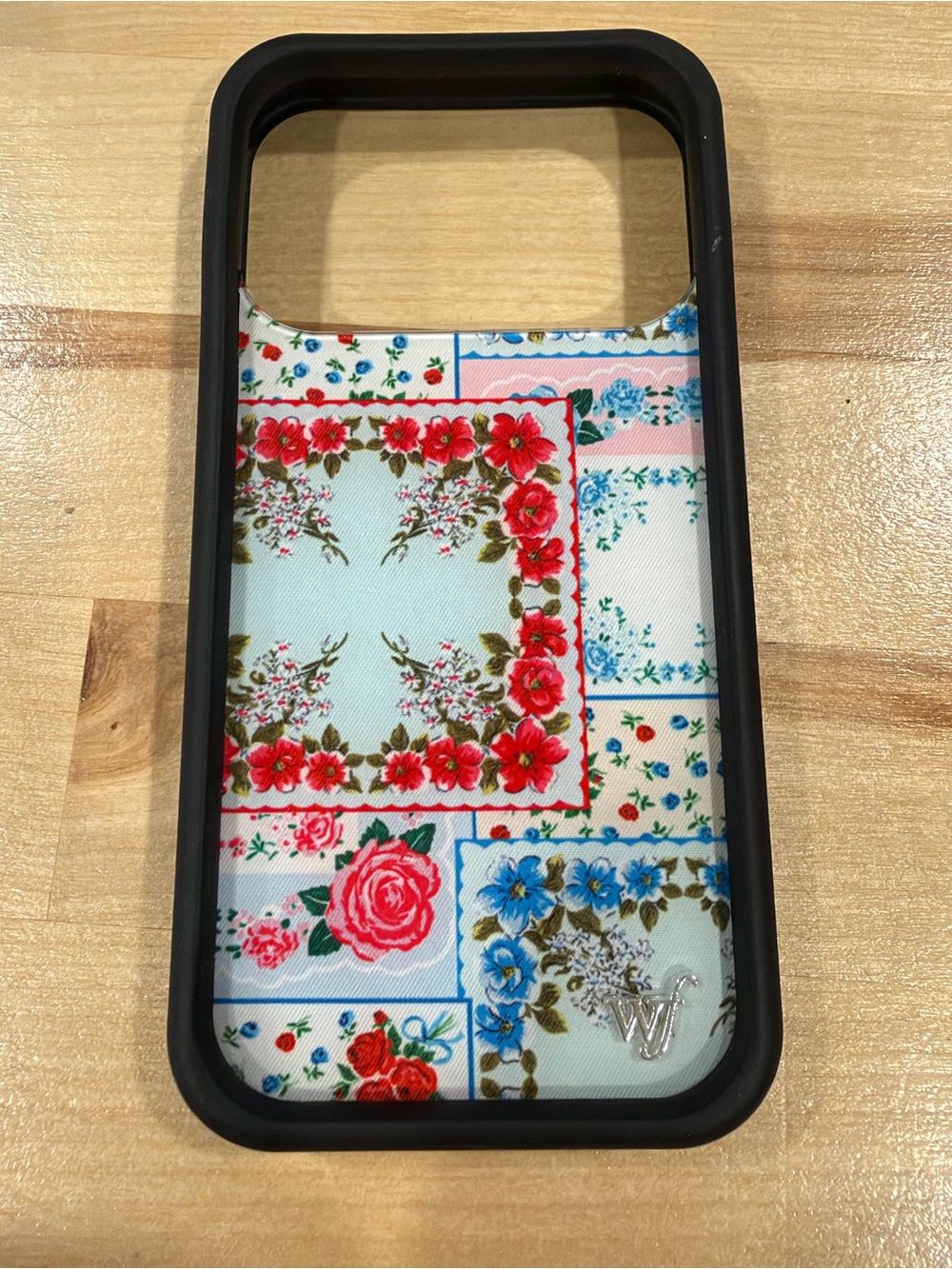 iPhone 17 Pro Case